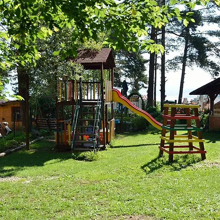 Kalvachevi Cigov Csark
