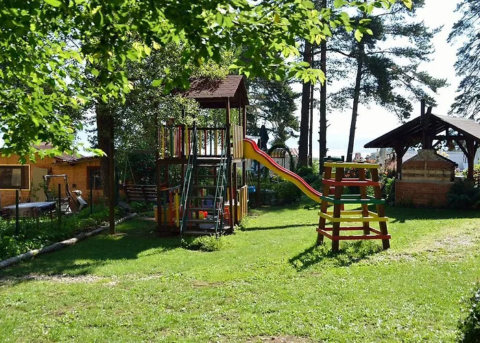 Kalvachevi تسيغوف تشارك