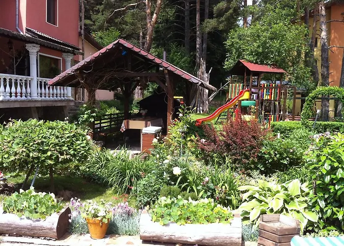 Kalvachevi تسيغوف تشارك